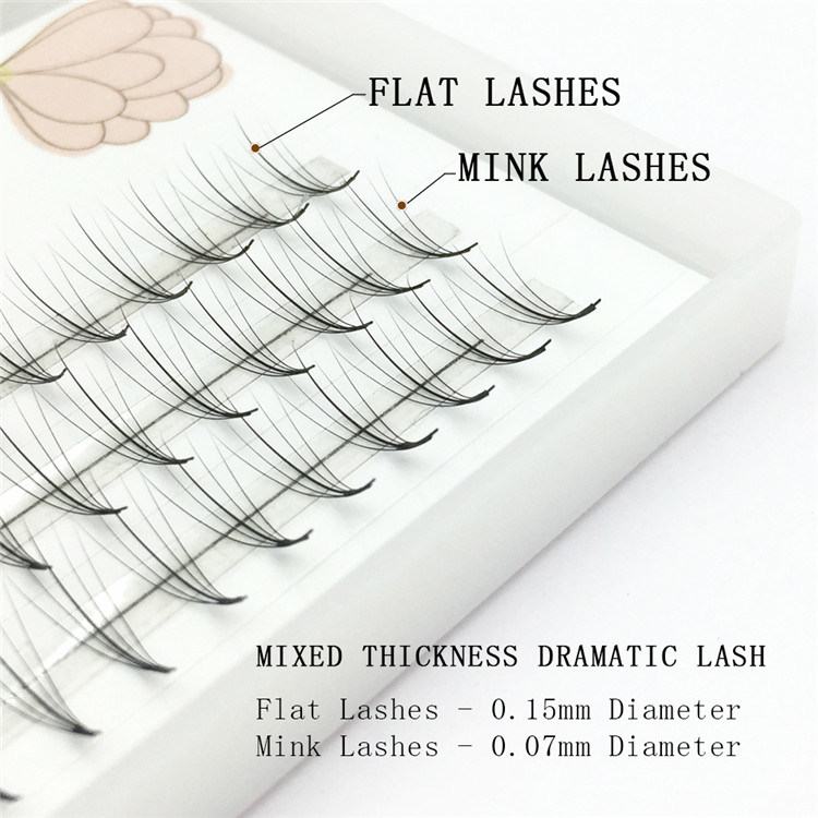 Big Discount 0.10C-14MM 3D Russian Volume Eyelash Extensions ZX057